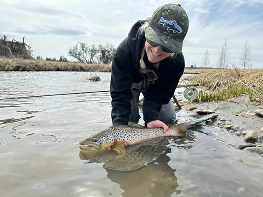 Spring Creeks